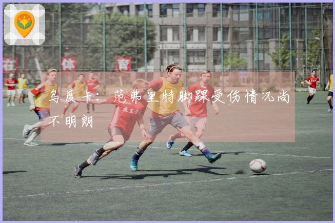乌度卡：范弗里特脚踝受伤情况尚不明朗