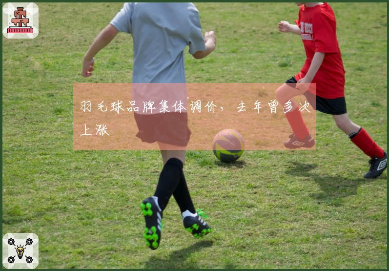 羽毛球品牌集体调价，去年曾多次上涨