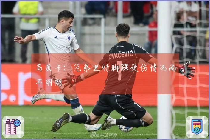 乌度卡：范弗里特脚踝受伤情况尚不明朗