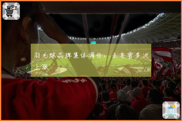 羽毛球品牌集体调价，去年曾多次上涨